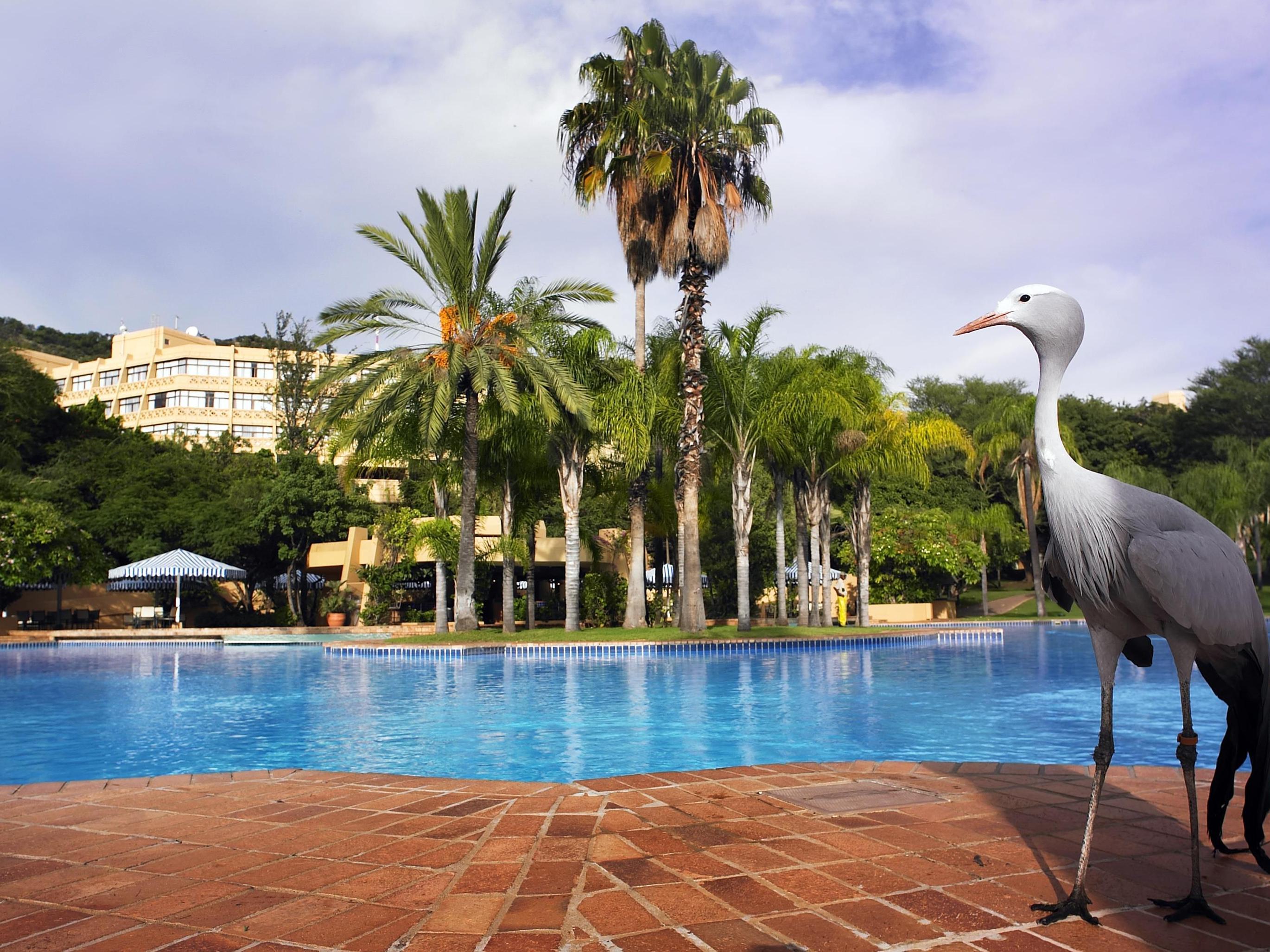 Soho Hotel & Casino At Sun City Bagian luar foto