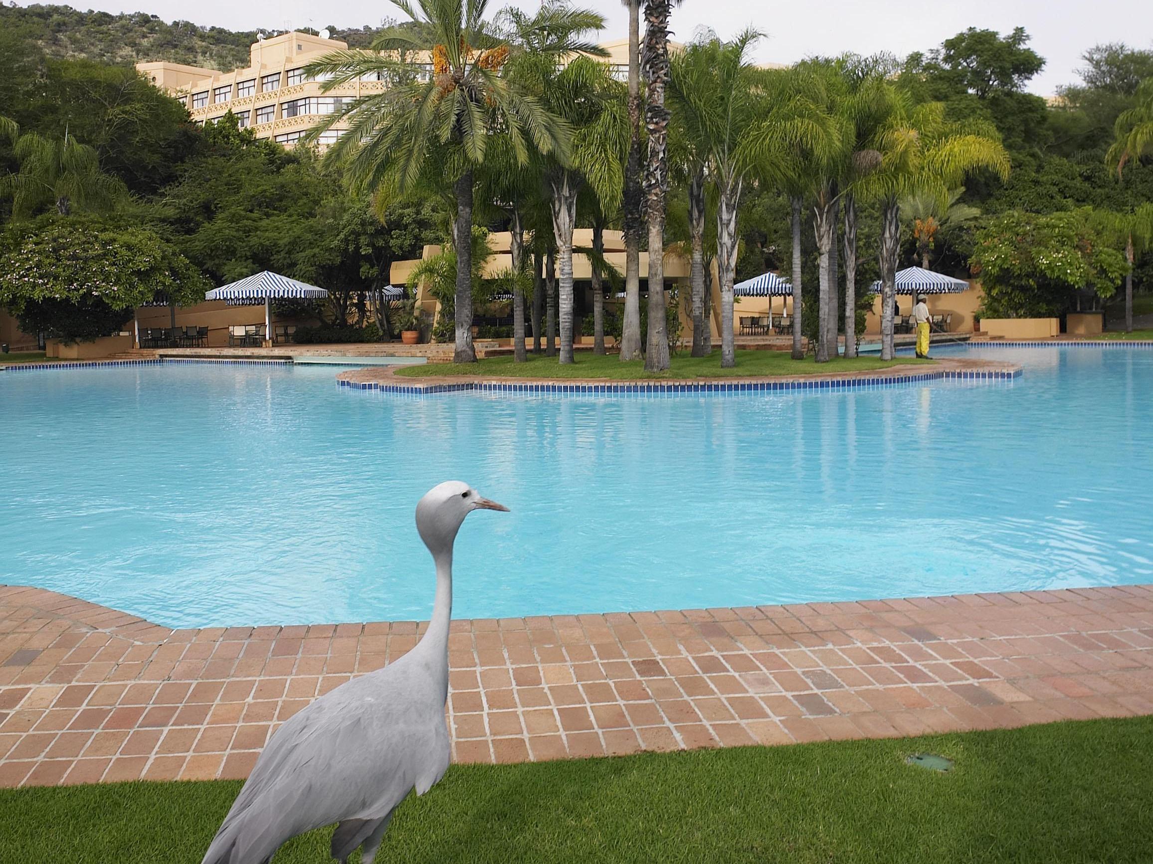 Soho Hotel & Casino At Sun City Bagian luar foto